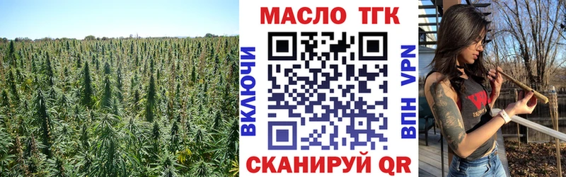 купить закладку  Новый Оскол  Дистиллят ТГК гашишное масло 