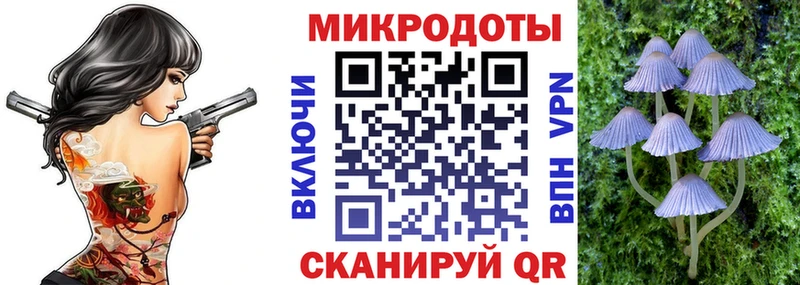 Псилоцибиновые грибы Psilocybine cubensis  ОМГ ОМГ рабочий сайт  Новый Оскол 